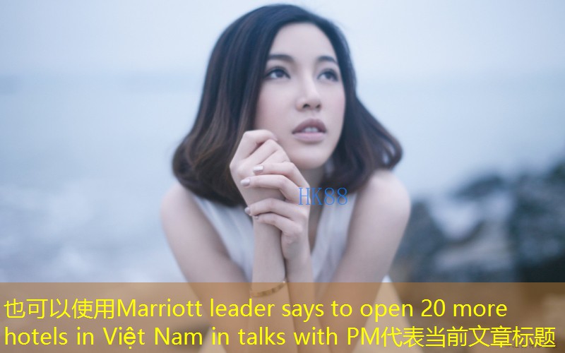 Marriott leader says to open 20 more hotels in Việt Nam in talks with PM